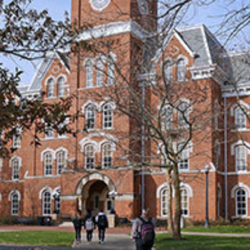 Ani school